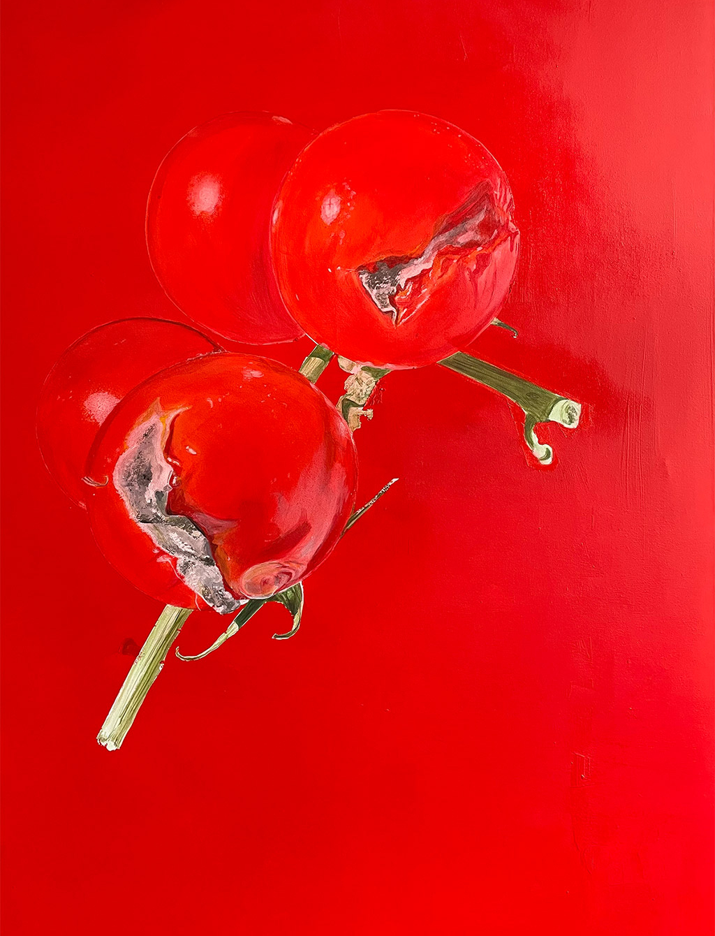 Foto: Gemälde Tomatenrispen mit Schimmel-Canyon